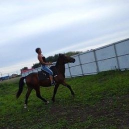 ���� ����, �����������, 47 ��� - ��������� 15 ������ 2020