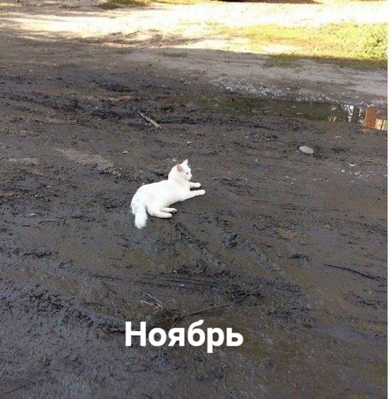 ,  ,  