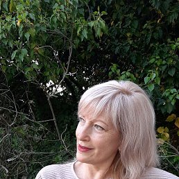 ���� ��������, ����, 64 ���� - ��������� 5 ��� 2020