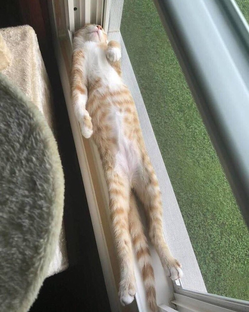   ,  ,  