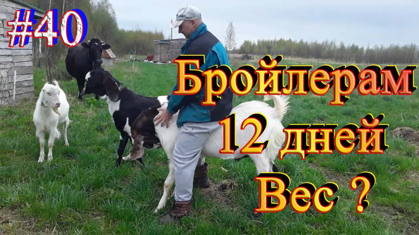 https://fotostrana.ru/away?to=/sl/J375