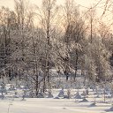 ���� �����, ������, 62 ���� - ��������� 15 ������ 2020 � ������ ������ ��������