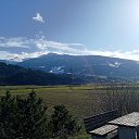  ,  , 41  -  28  2020    