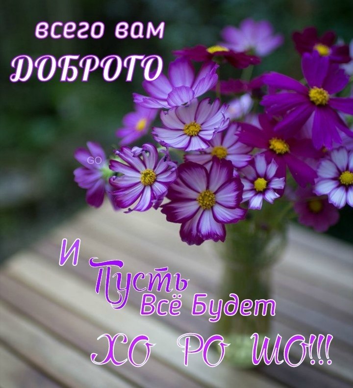   ,    . - 8  2020  22:41