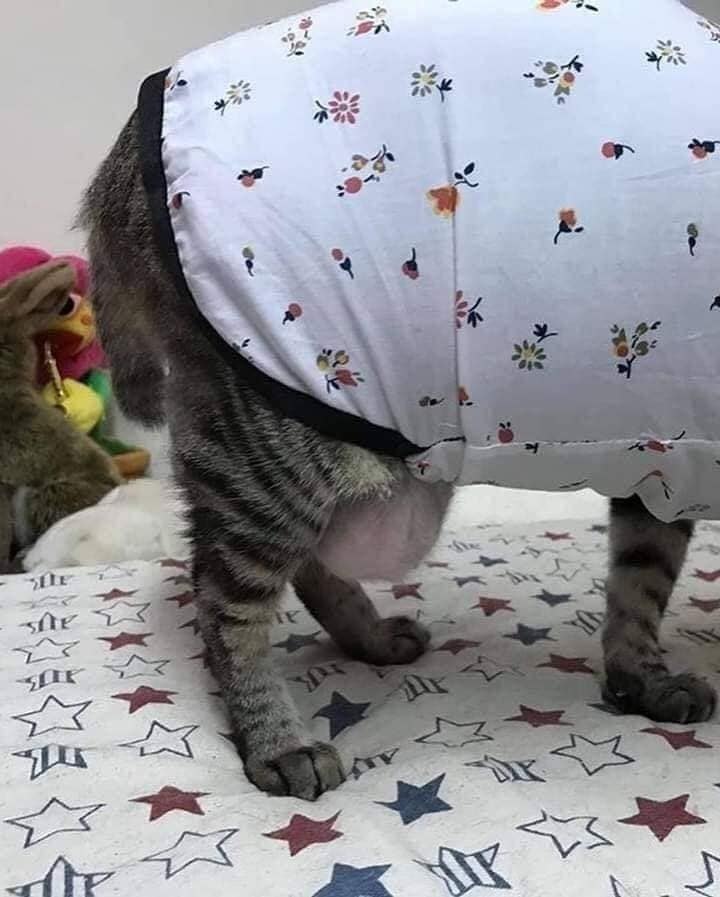       : - 3