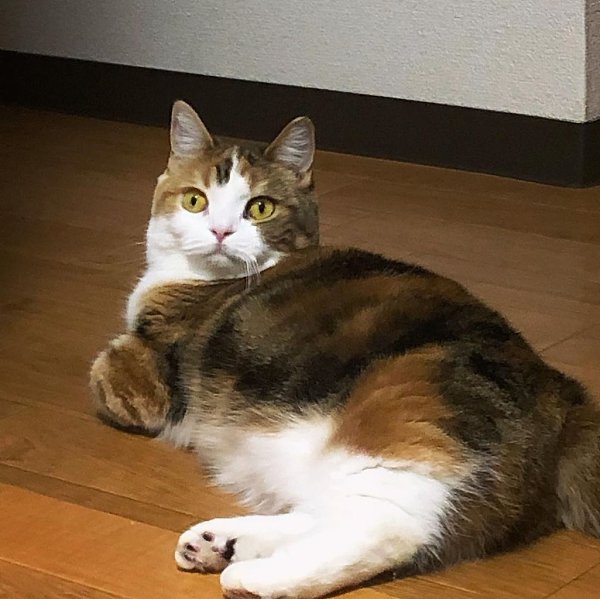    -    ? - 3