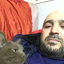 ���� �����, ������, 40 ��� - ��������� 2 ������� 2020 � ������ ���� ����������
