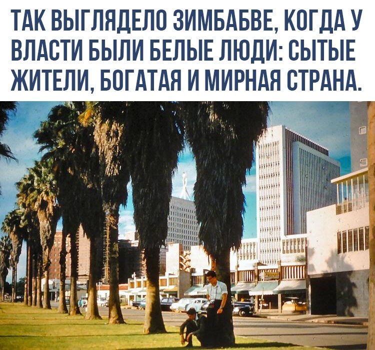    - 15  2020  20:33