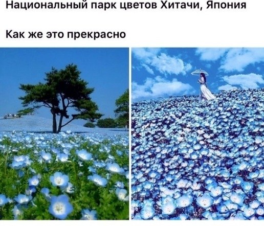 LIFE -  - 8  2020  19:06