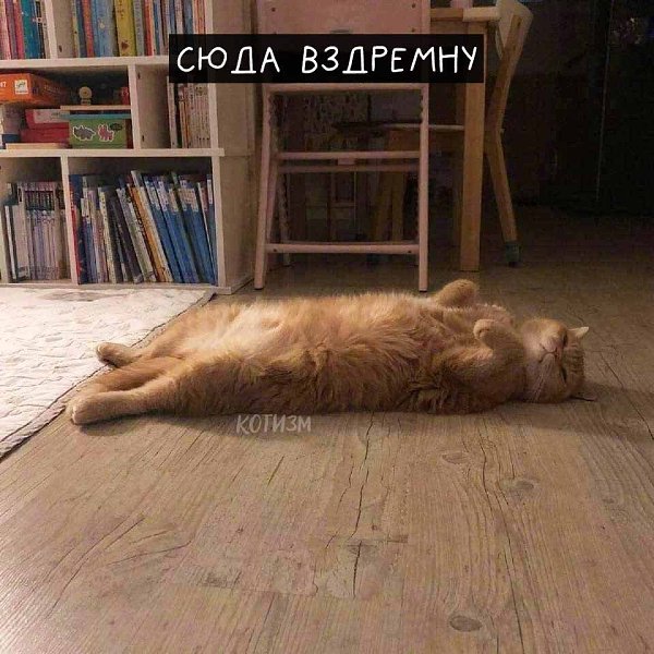      : - 4
