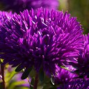 ���� ��������, ������ - ��������� 16 ���� 2020 � ������ ���� ����������