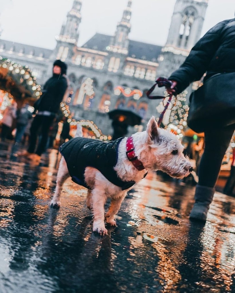 ��� �� ��������� ������� � ����� �������� ����! �������� � ����-�� ���� ���� �� �������? - 4