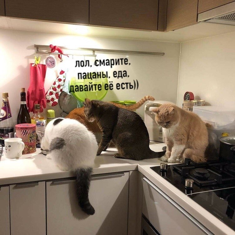 ���������: � � �������� ������