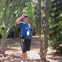 ������, ������, 51 ���