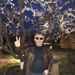 �����, ������, 54 ����