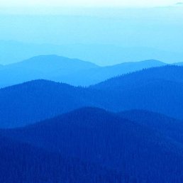 ����, ������, 48 ���