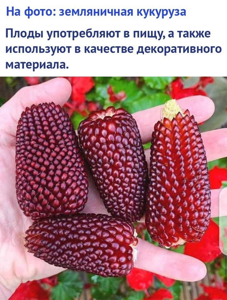 !     !
