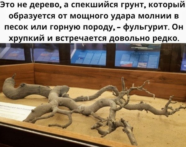 TECHNOLOGY -   - 11  2020  19:07