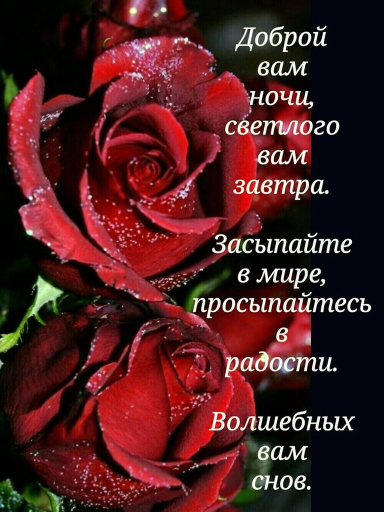   ,    . - 24  2020  21:10 - 2