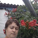 ���� �����, ���������, 36 ��� - ��������� 18 ���� 2020 � ������ ���� ����������