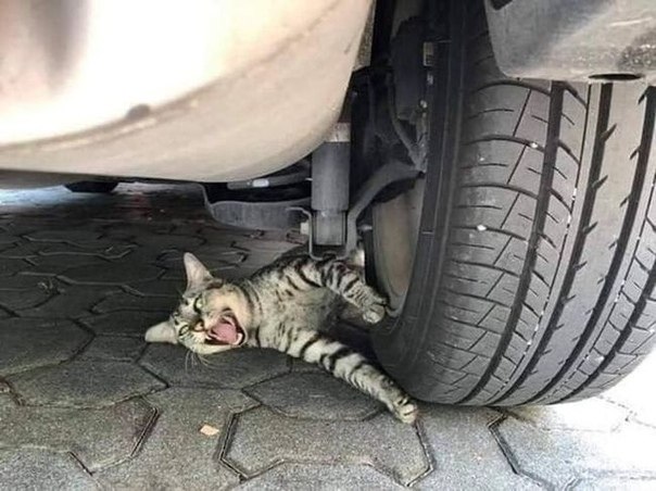    :         