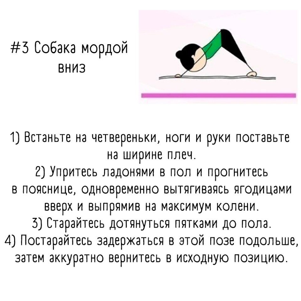    .     - 3