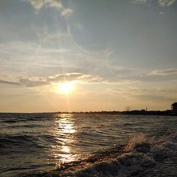 ����, ��������, 50 ���