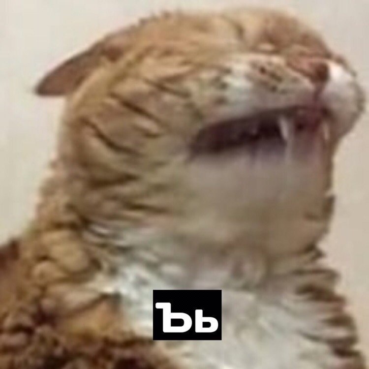 :  - 4