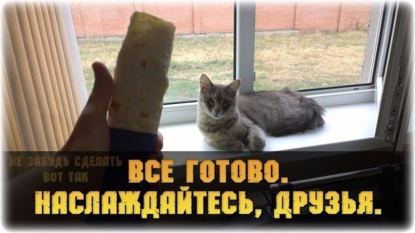    !     !))) ___________________________________ ... - 7