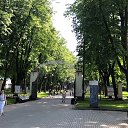 ���� ���������, ������, 48 ��� - ��������� 10 ���� 2020 � ������ ������ ��������