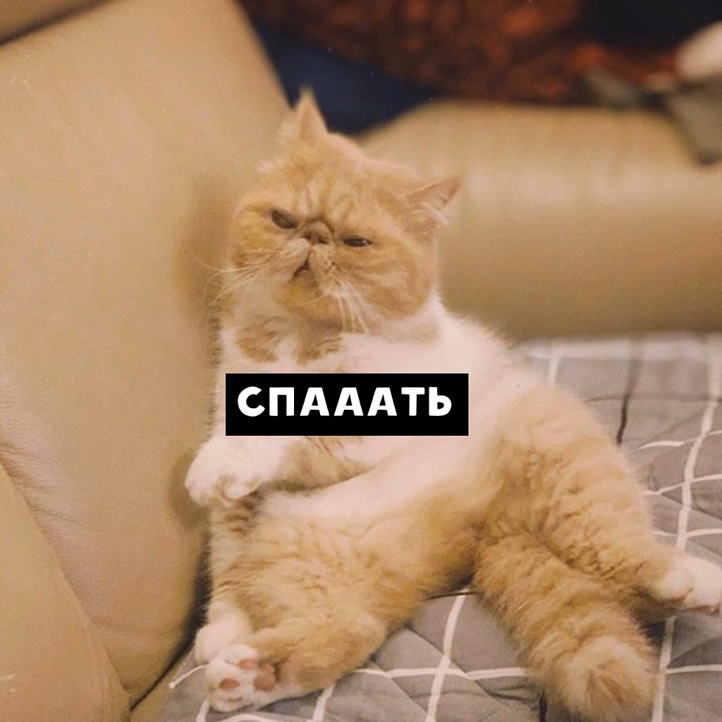               ,     ... - 2