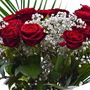 ���� ___����, �������� - ��������� 18 ���� 2020 � ������ �������