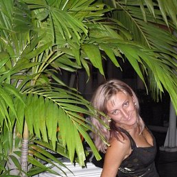 , 50, 
