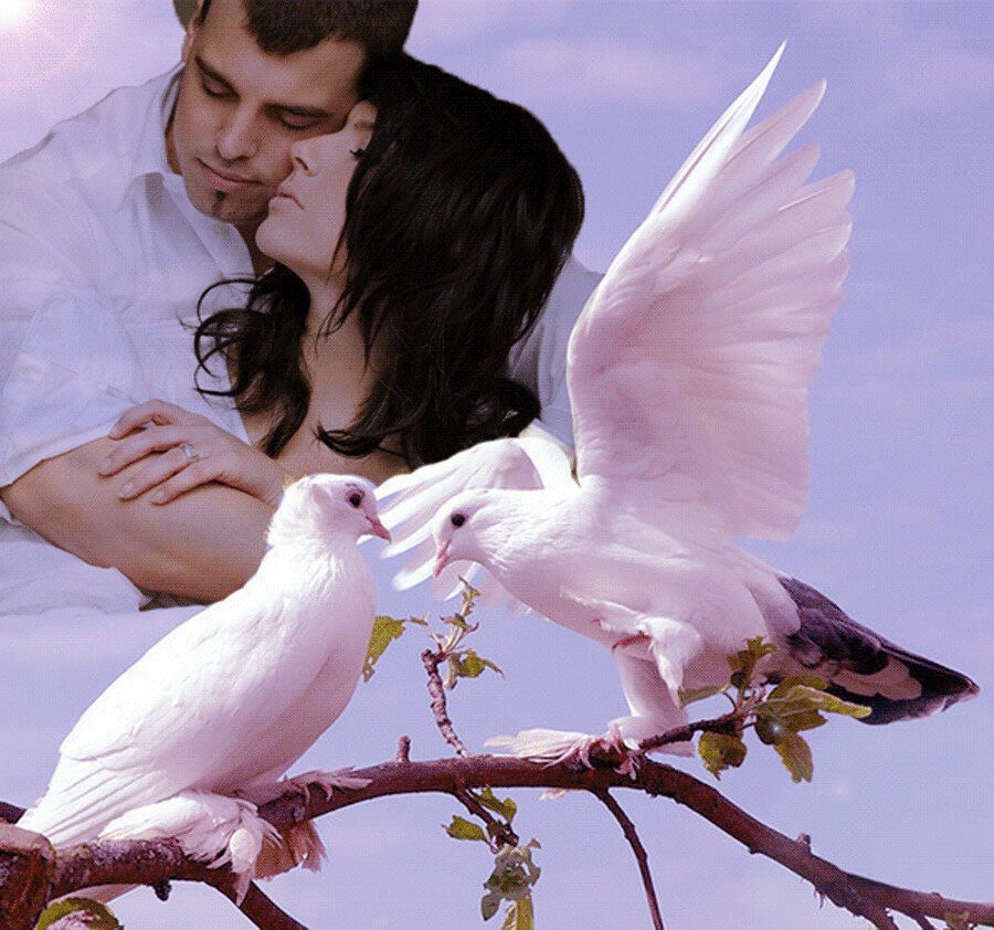  , , .    :     . ...