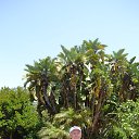 ���� �����, �����, 63 ���� - ��������� 25 ������ 2020 � ������ ���� ����������