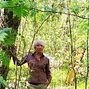 ���� ������, �������, 62 ���� - ��������� 13 ��� 2020 � ������ ���� ����������