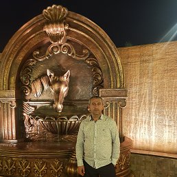 ���� �, �������, 72 ���� - ��������� 11 ���� 2020