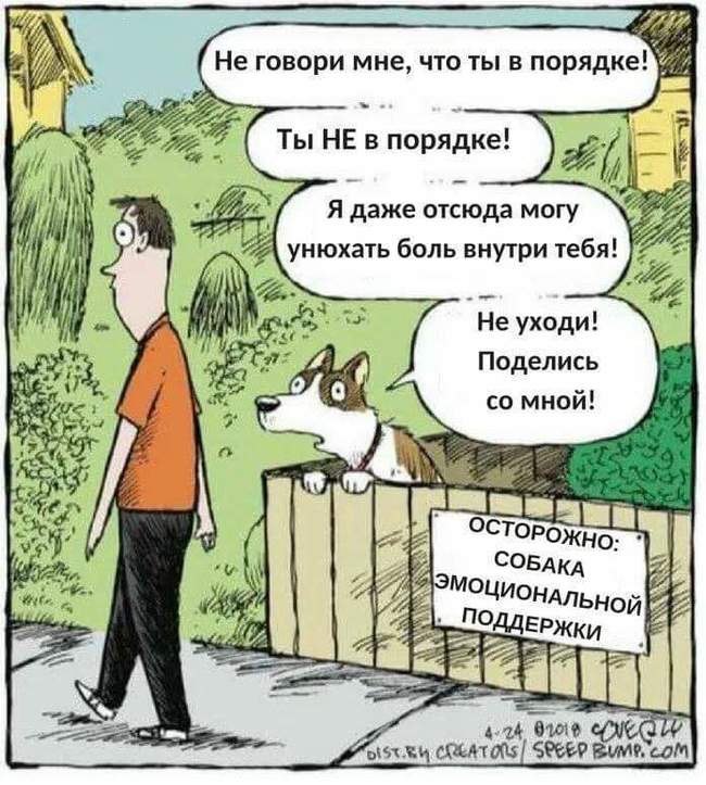 ����� - 19 ���� 2020 � 19:01