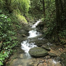 ���, ������