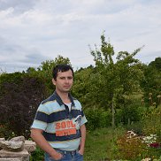 �����, 43 ����, �����