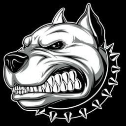 �������, ������, 37 ���