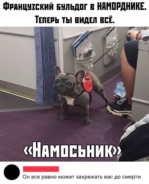   !)