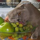  , -- -  14  2020   