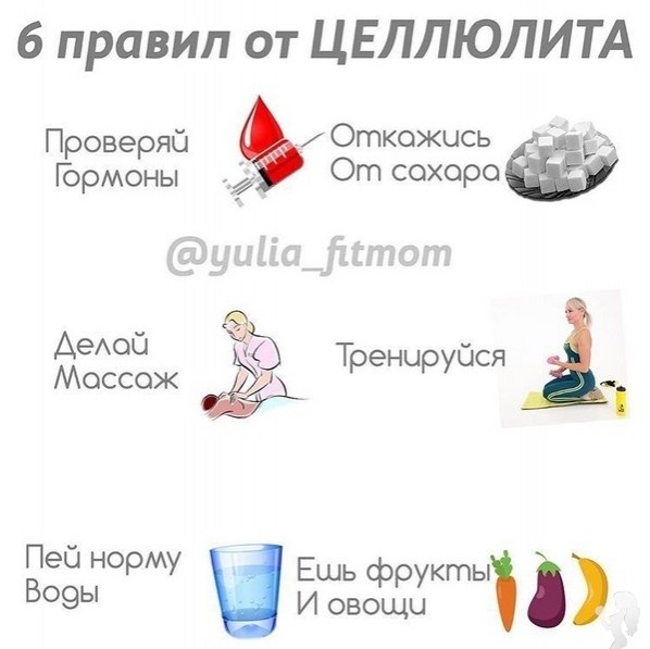 ���-6 ������ ������ ����������