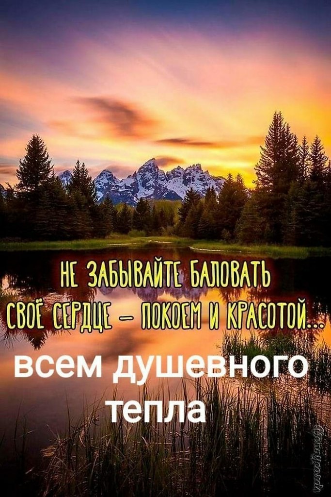   ,    . - 11  2020  22:02 - 4