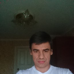 , 43, 