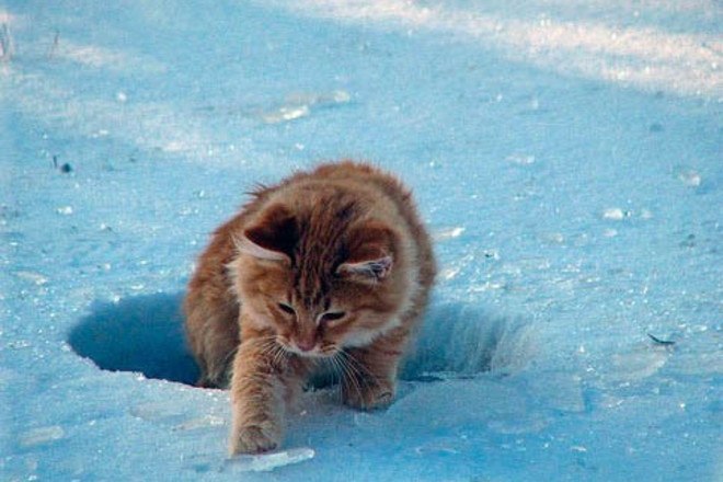    - 5