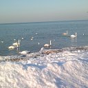 ���� �����, �����������, 60 ��� - ��������� 6 ��� 2020