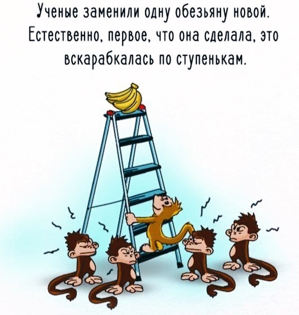   ,    .  ,   , ,  ... - 5