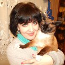 ���� ������, ������, 55 ��� - ��������� 2 ����� 2020 � ������ ���� ����������